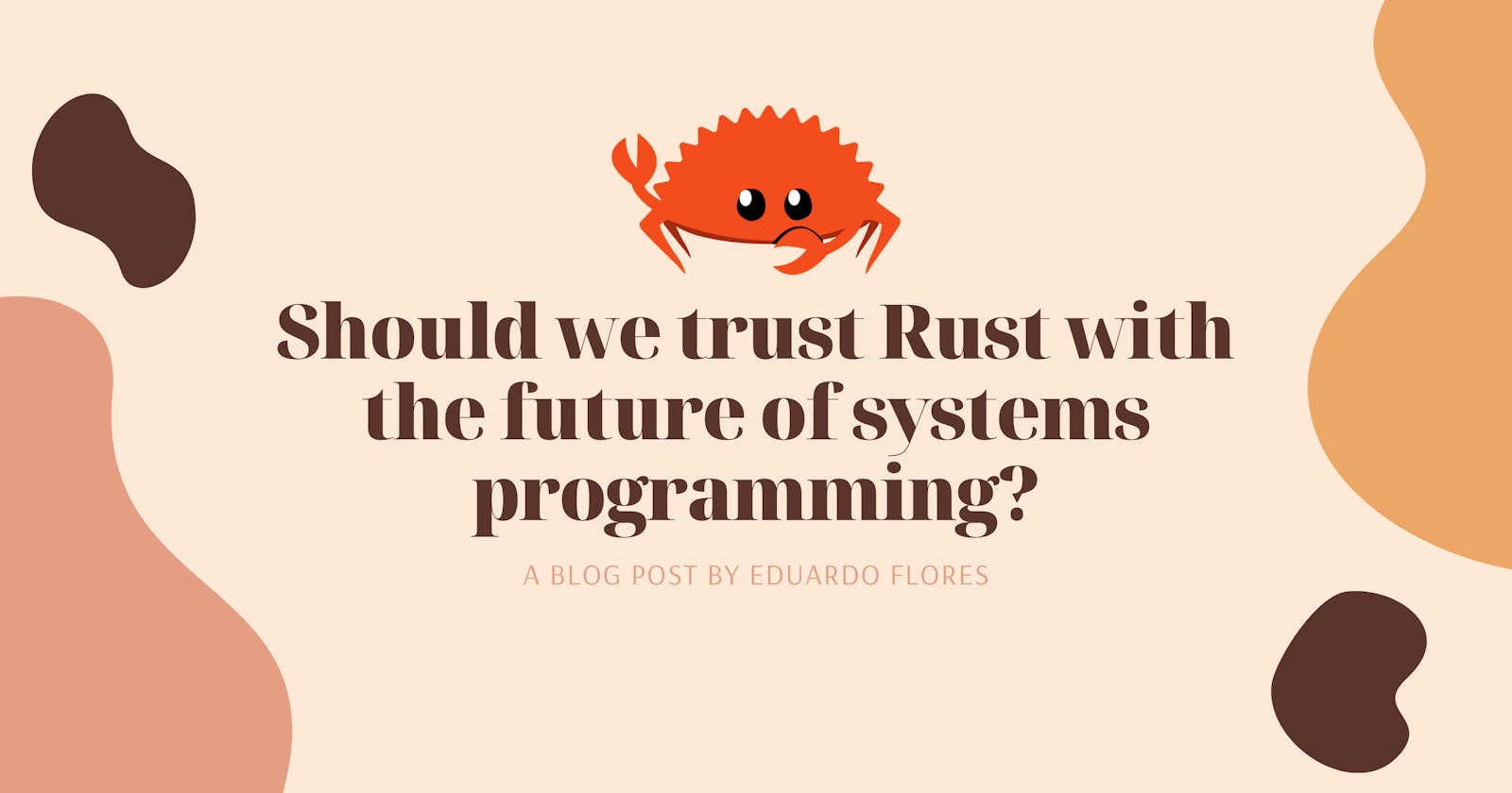 Should we trust Rust with the future of systems programming?