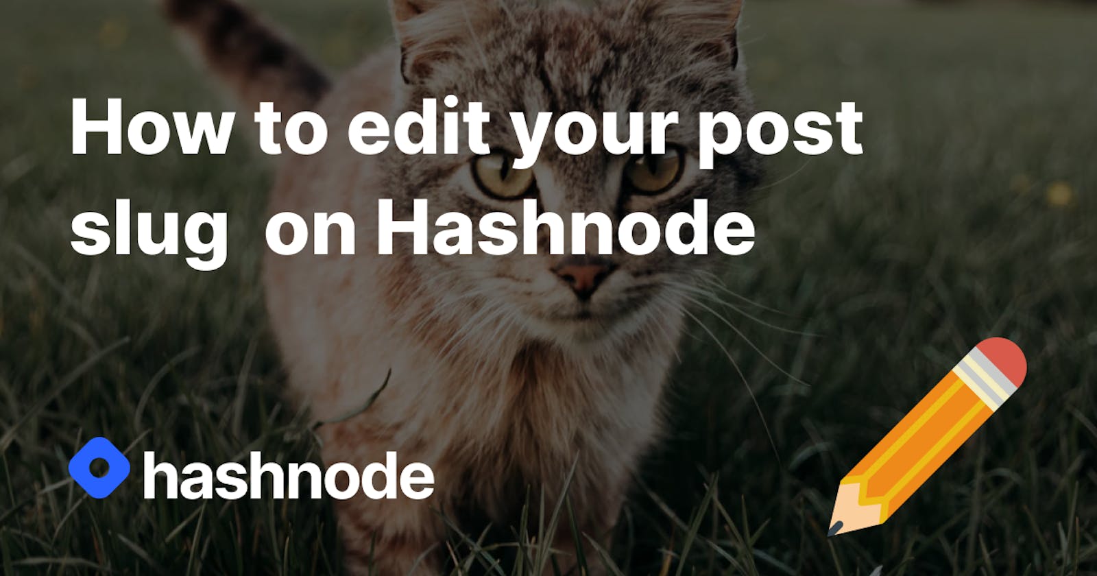 How to edit your post slug  on Hashnode