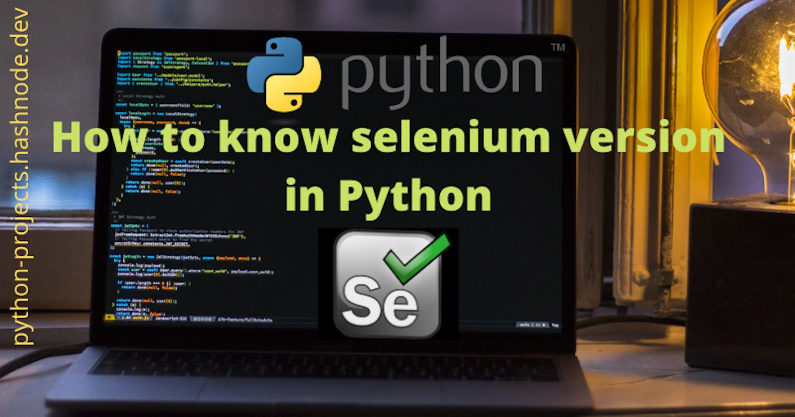 How to check selenium version in Python