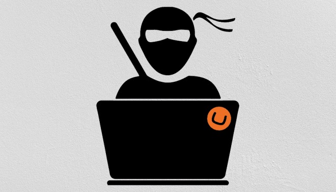 Like a Ninja