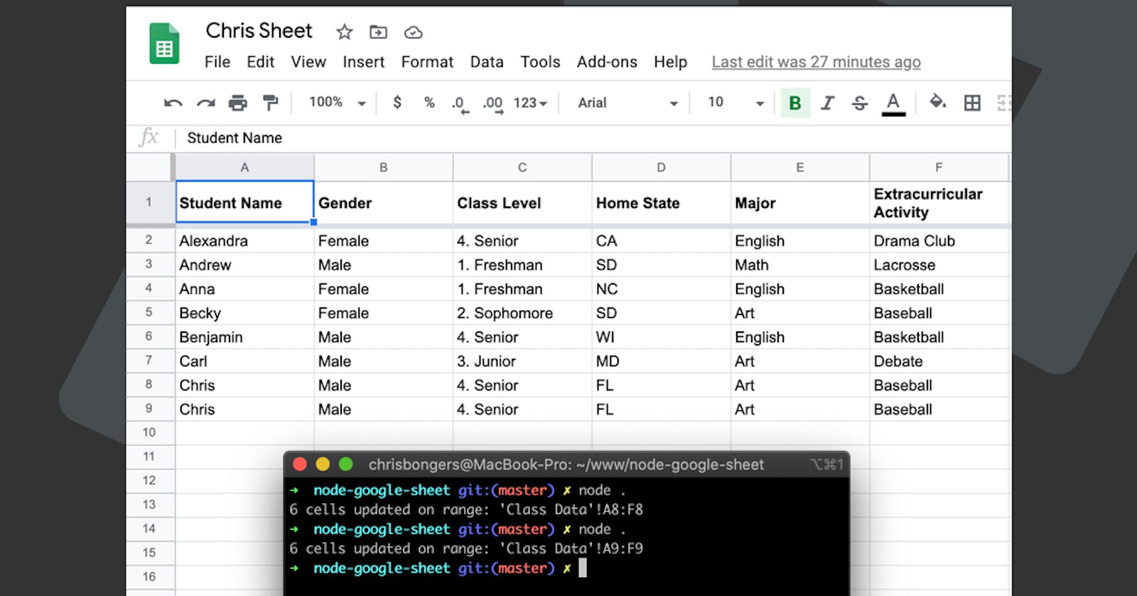 Node.js write data in a Google Sheet