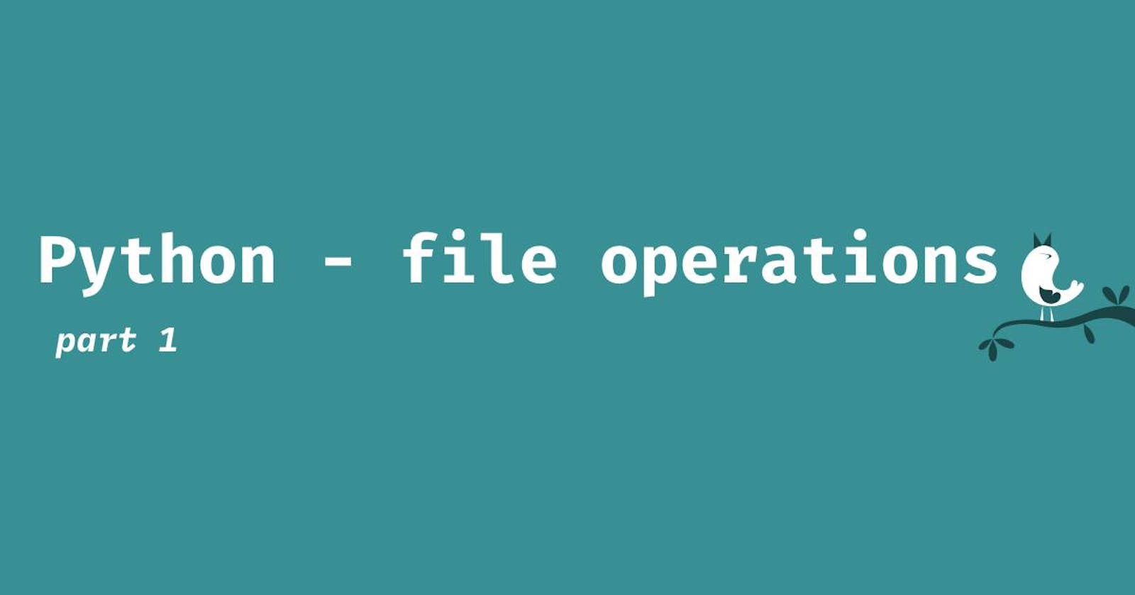 Python file operations (1)