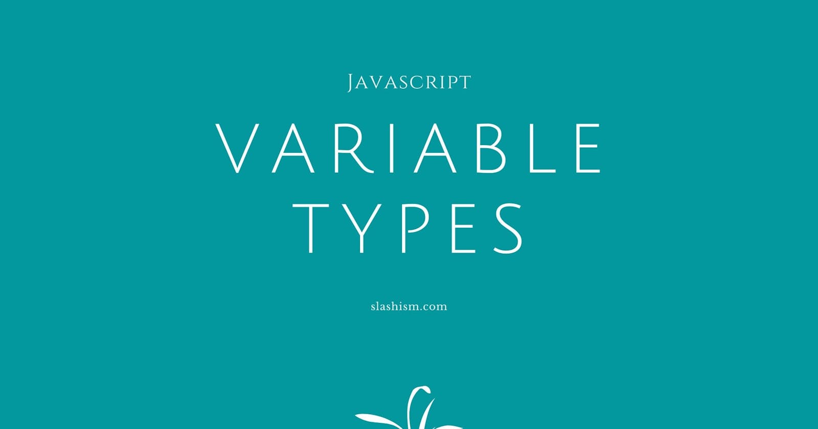 Variable Types in Javascript