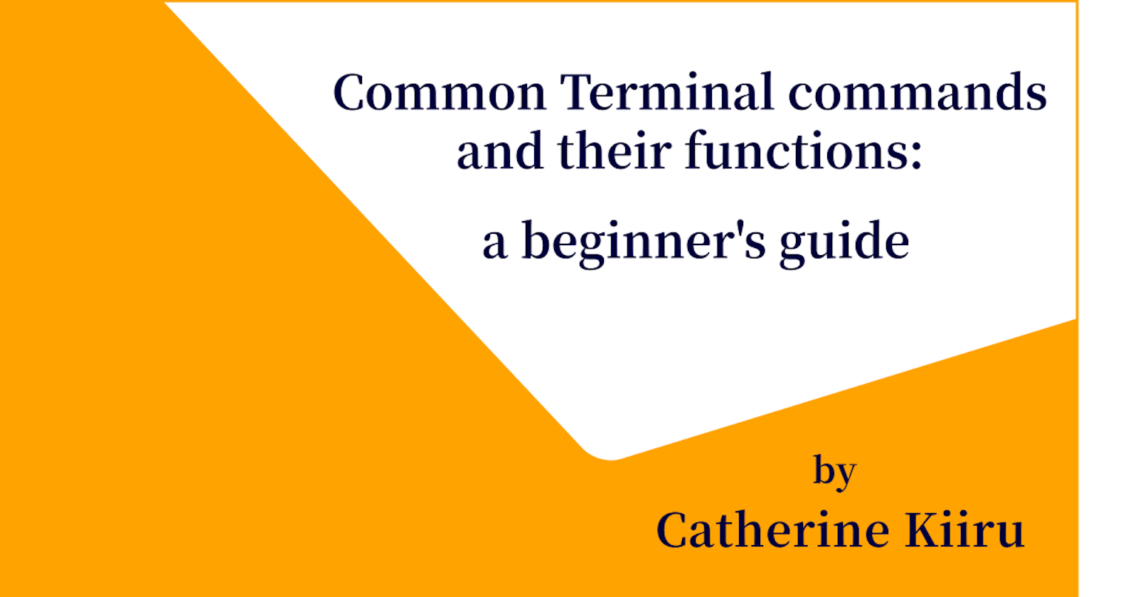 Common Terminal commands: a beginners guide