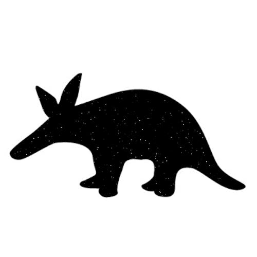 Space Aardvark
