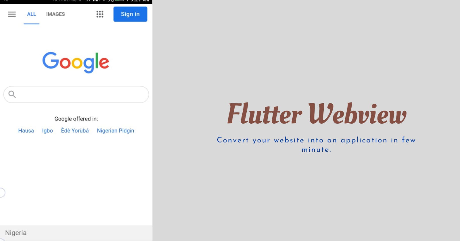 Convert your website into an application in a few minutes (FLUTTER WEBVIEW).