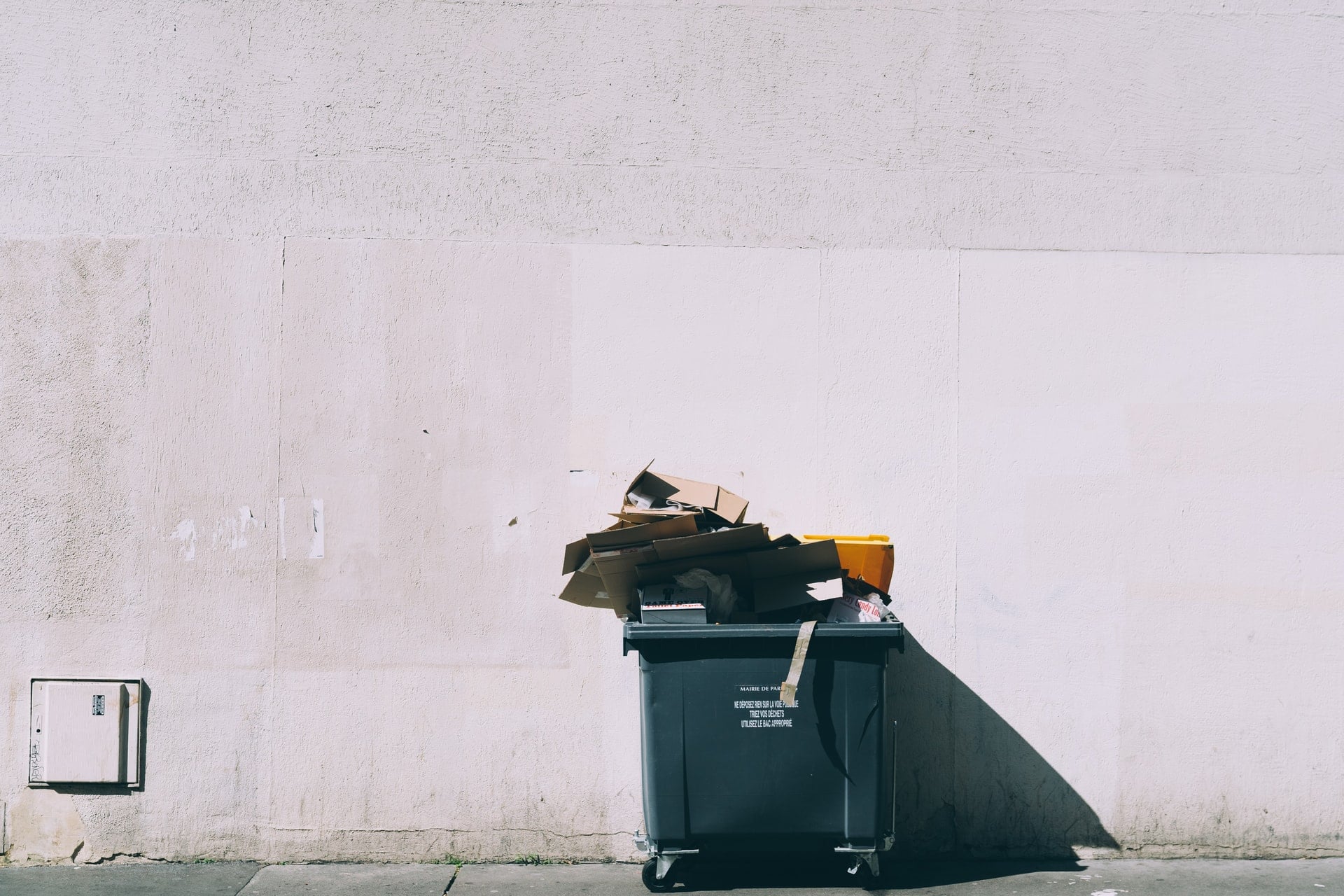 jilbert-ebrahimi-b0p818k8Ok8-unsplash (1).jpg