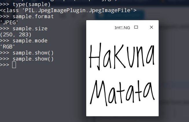 hakuna matata.png