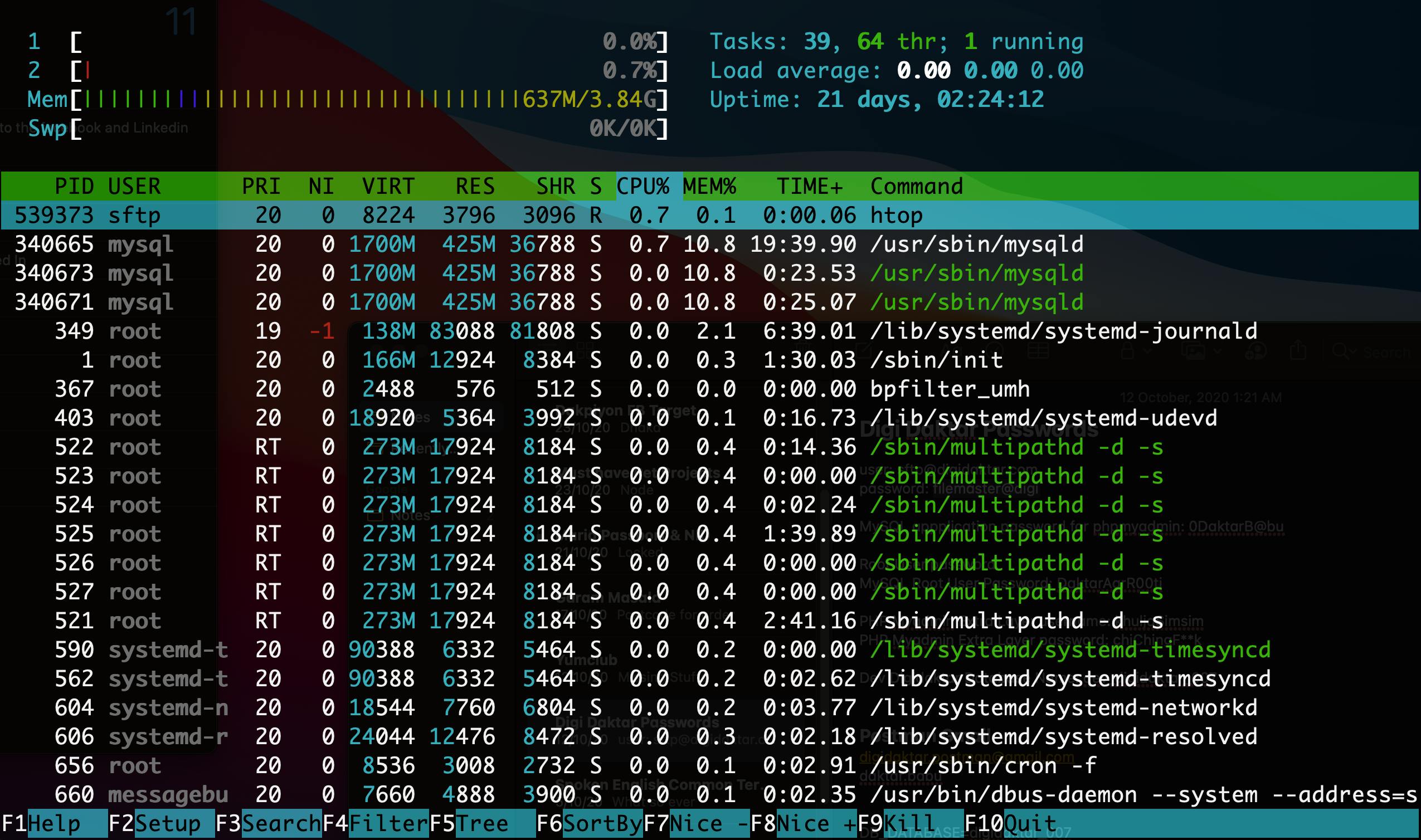 Linux htop command sample output