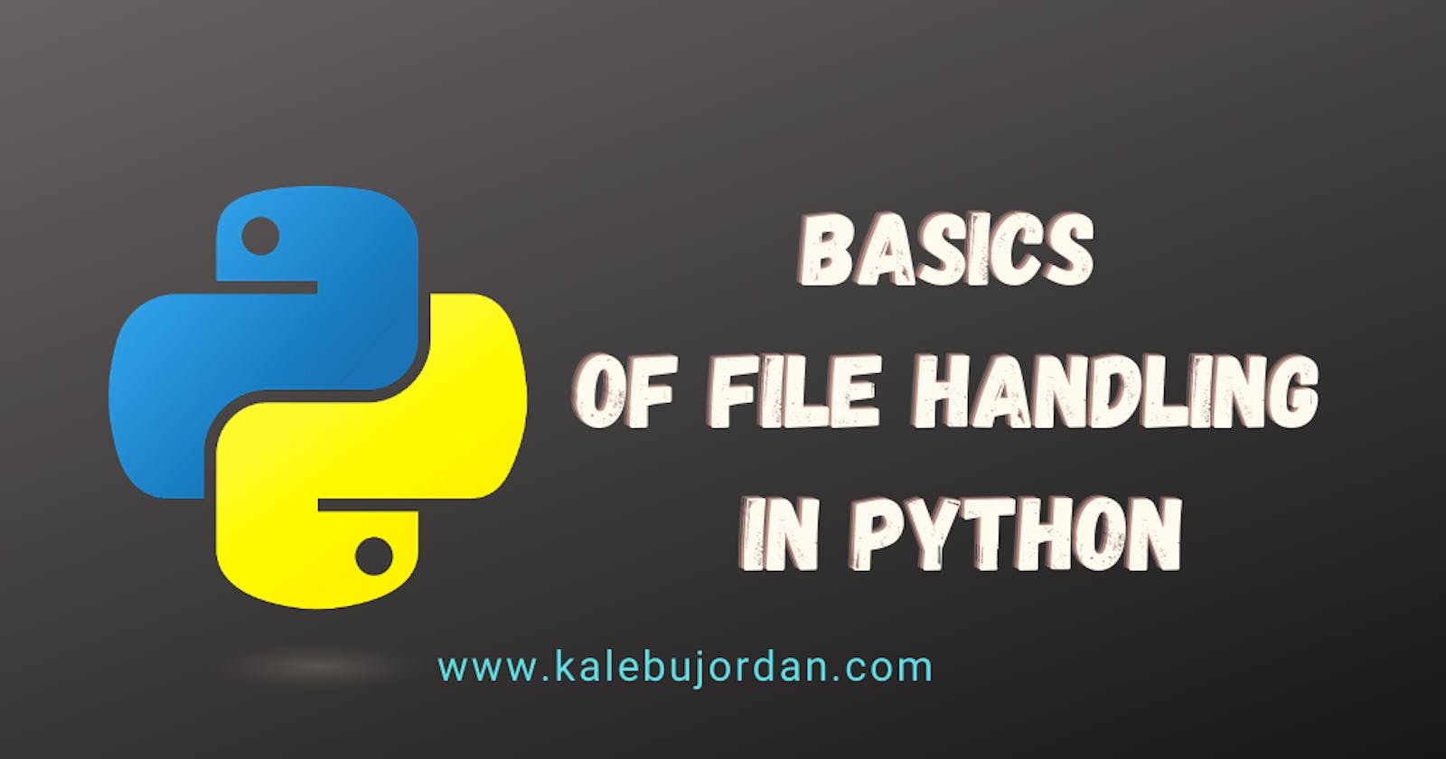 basics of file handling in python