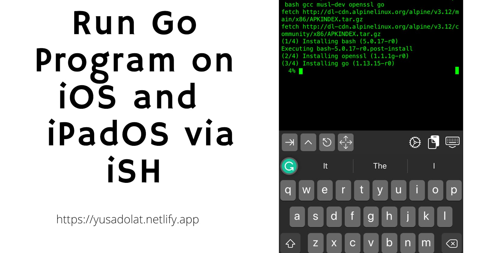 Running Go Program on iOS and iPadOS with iSH