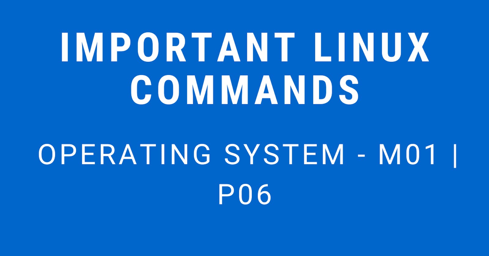 Important Linux Commands | Operating System - M01 P06