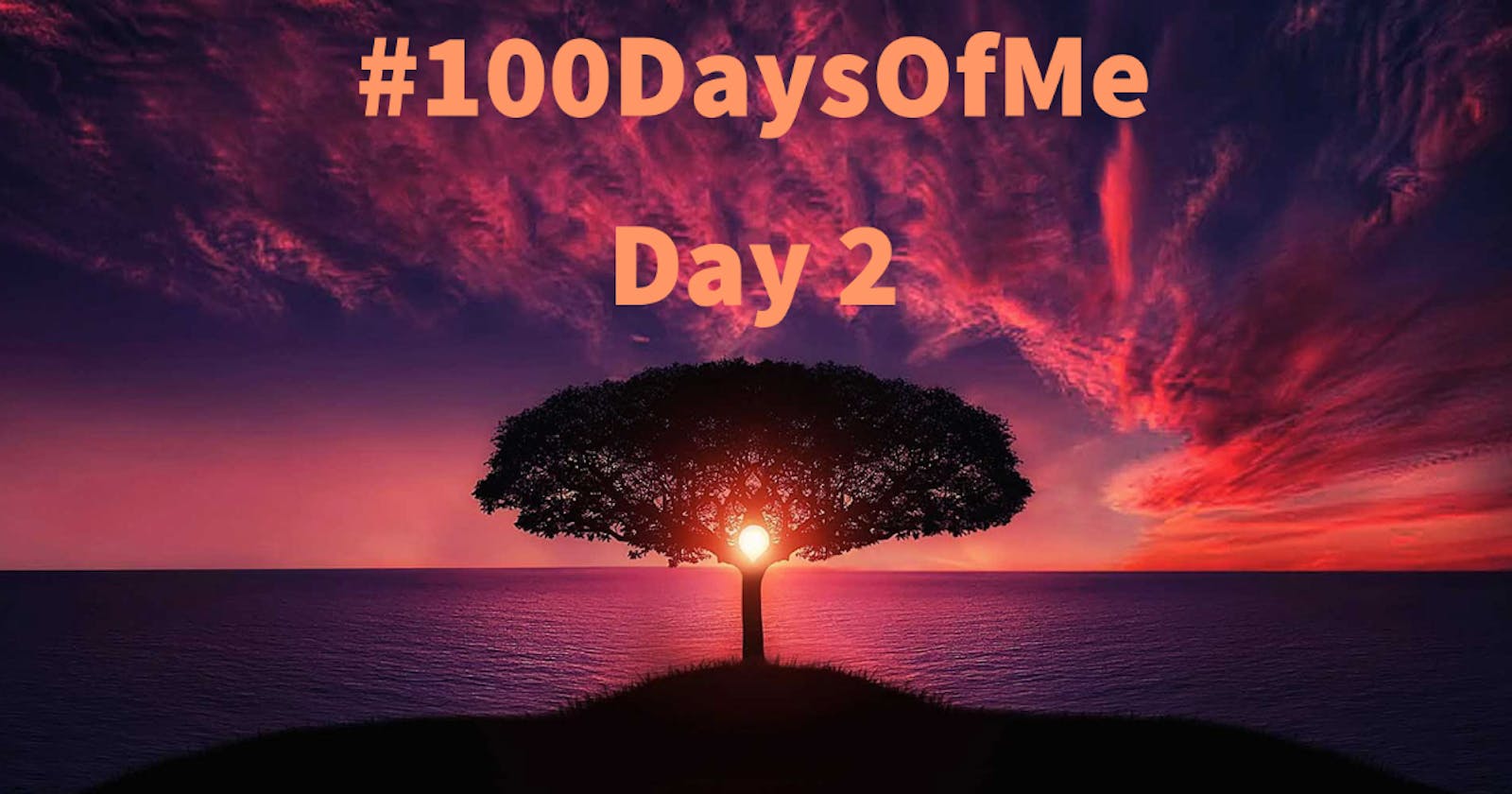 #100DaysOfMe: Day 2