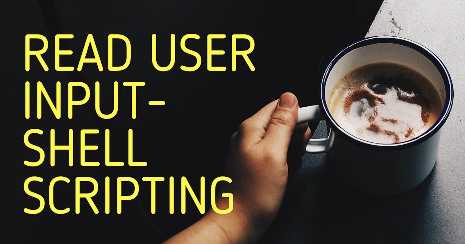Read User Input | Shell Scripting