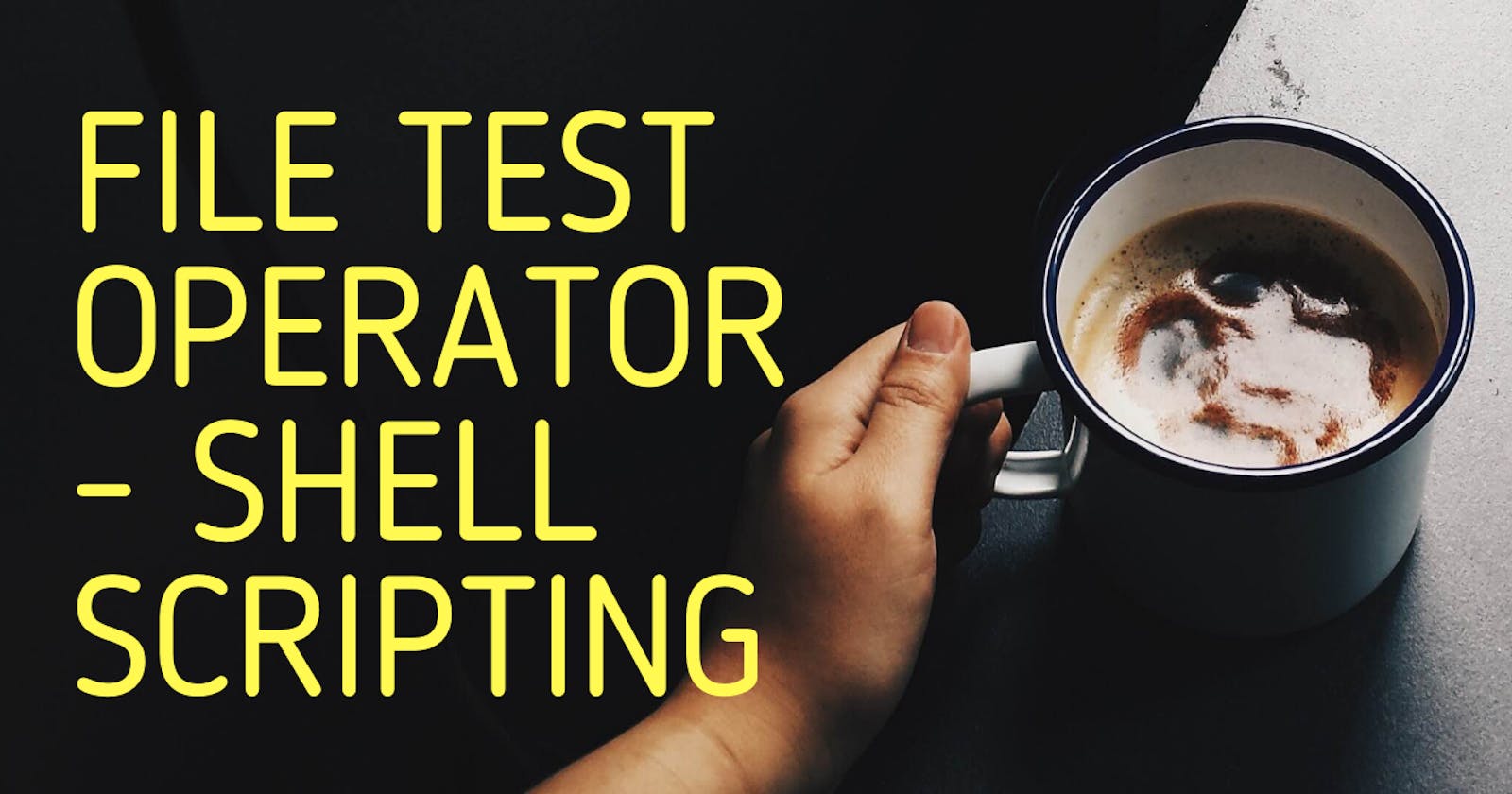 File Test operator | Shell Scripting