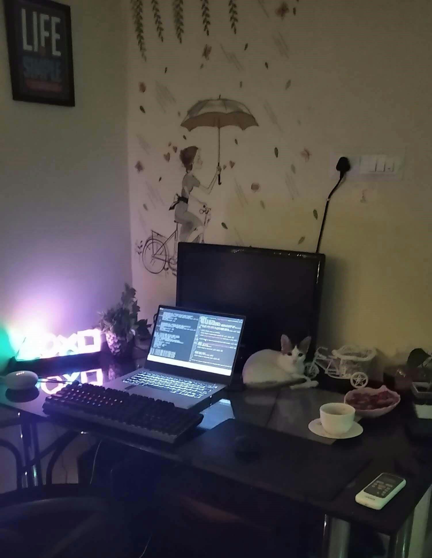my_desk_setup_5.jpg