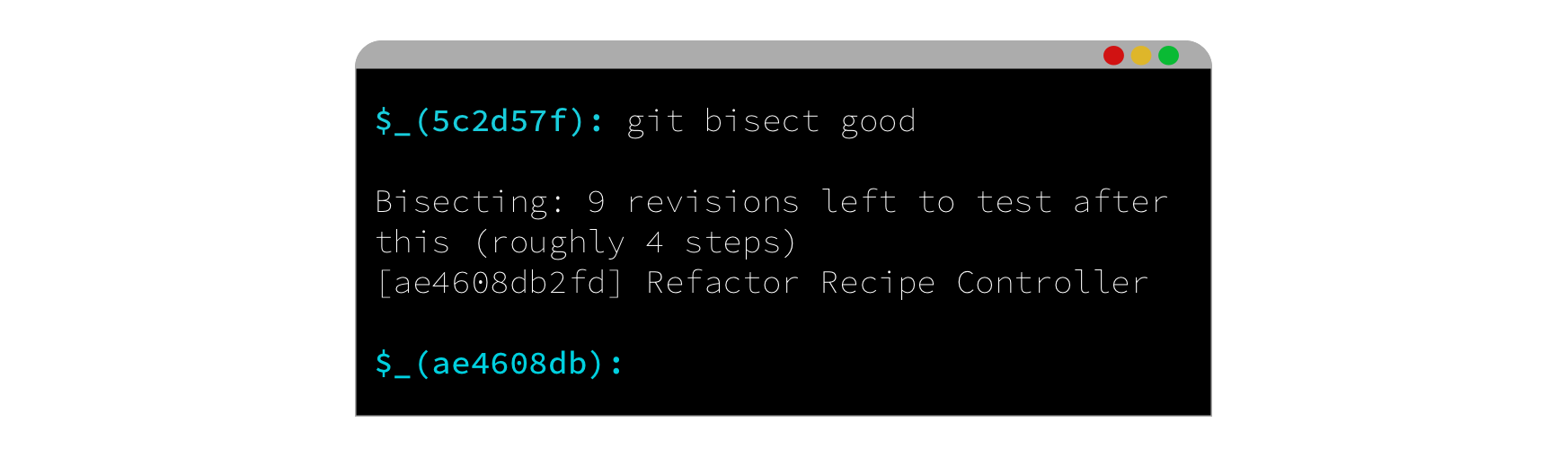 cli_bisect_step.png
