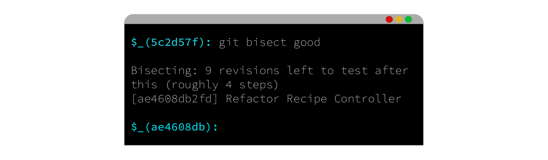 cli_bisect_step.png