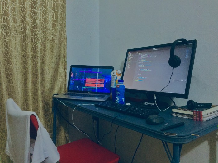 The Full Stack Developer