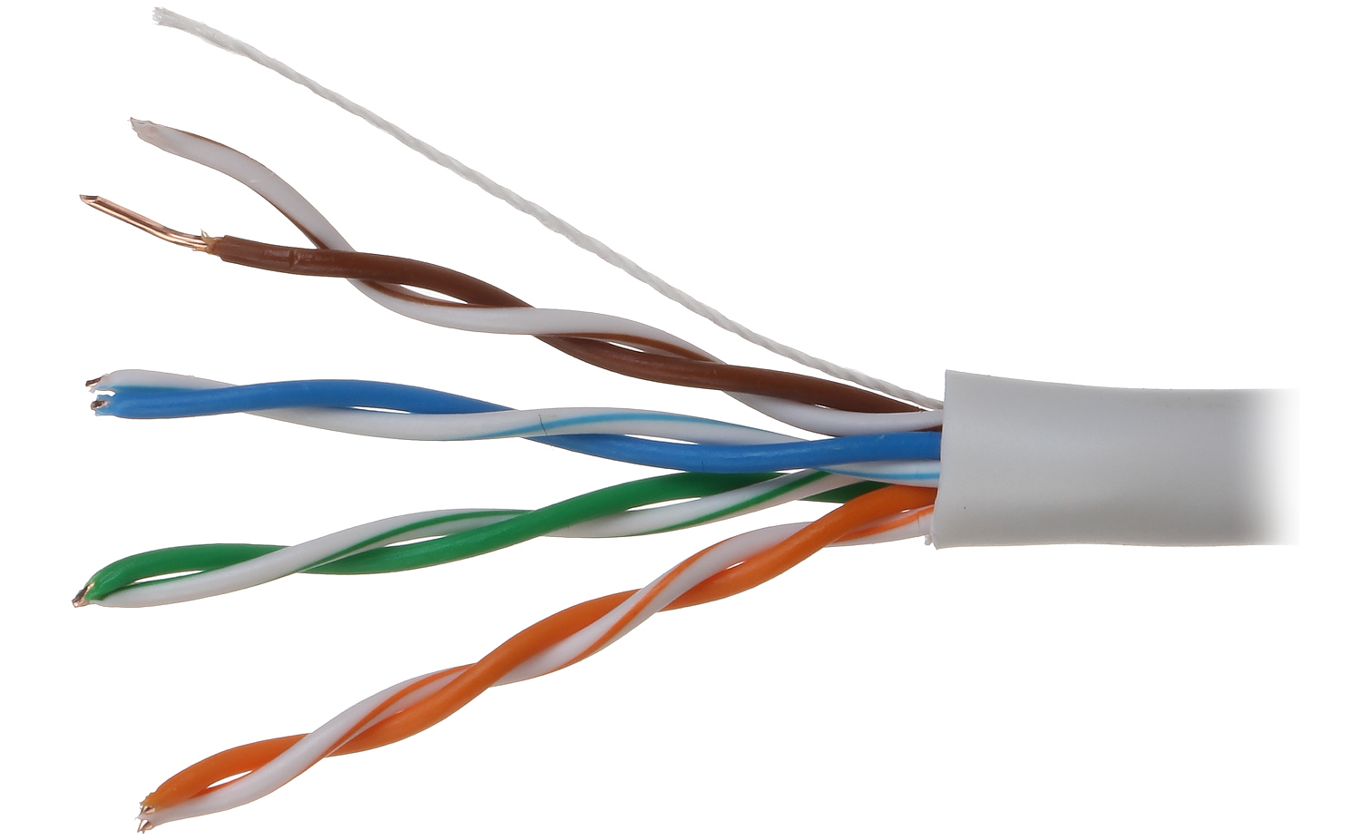 twisted pair cable.jpg