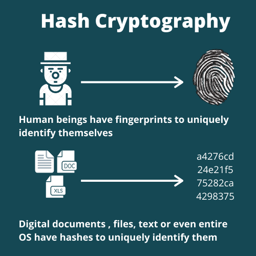 hash-cryptography-digital-fingerprint.png