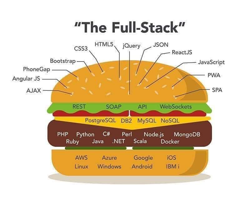mean stack course