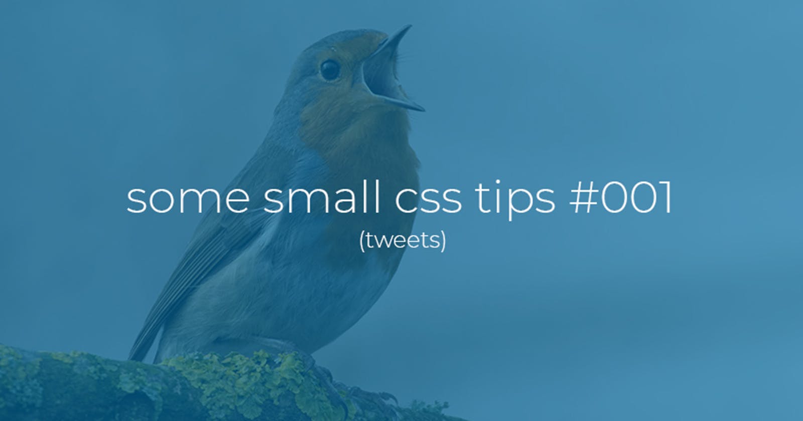 Some small Css tips tweets #001