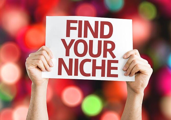 Find Your Niche.jpg