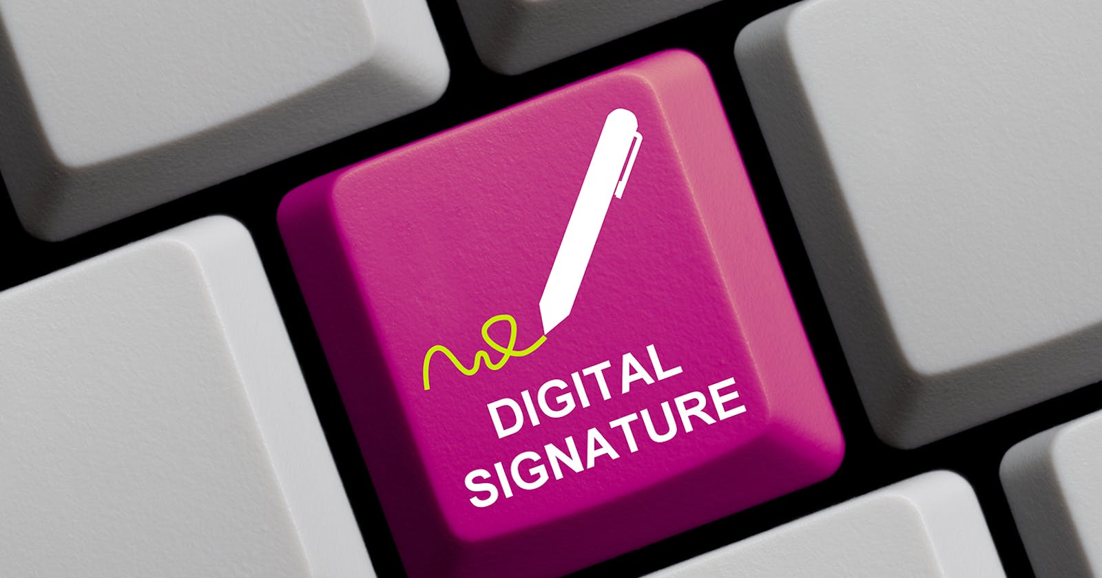 Digital Signatures in IoT