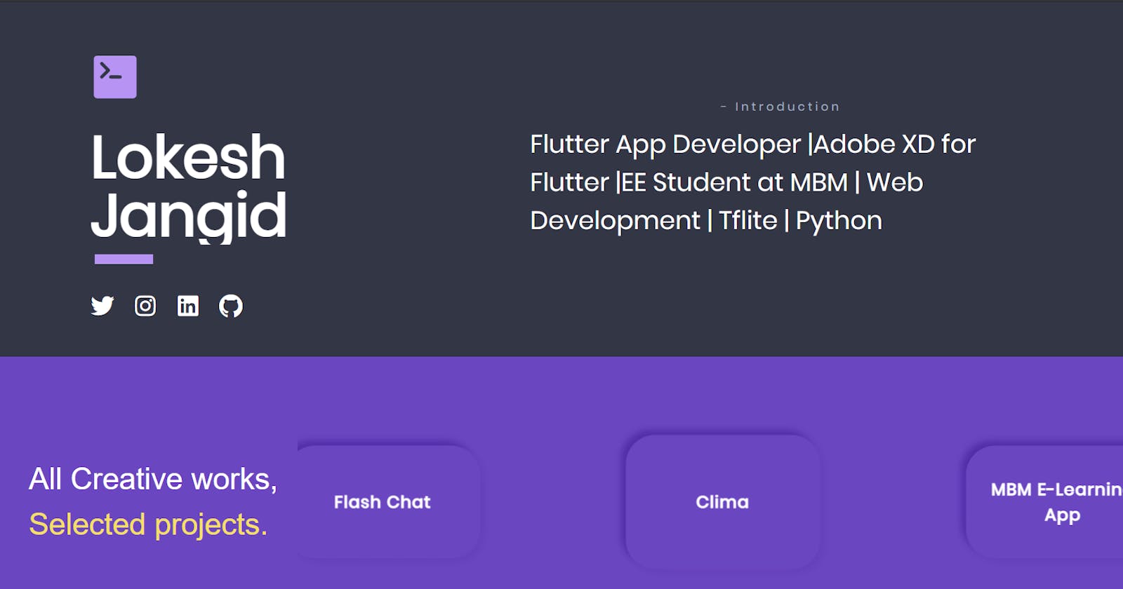 Make A Flutter Web App(Website) And Deploy on Vercel (A portfolio project)