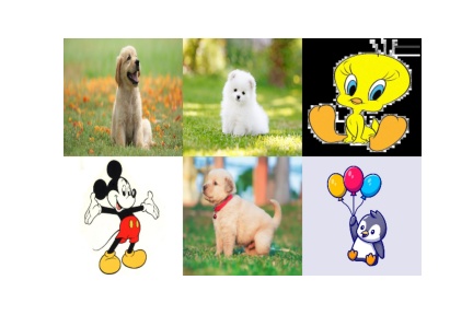 numpy_output.jpeg