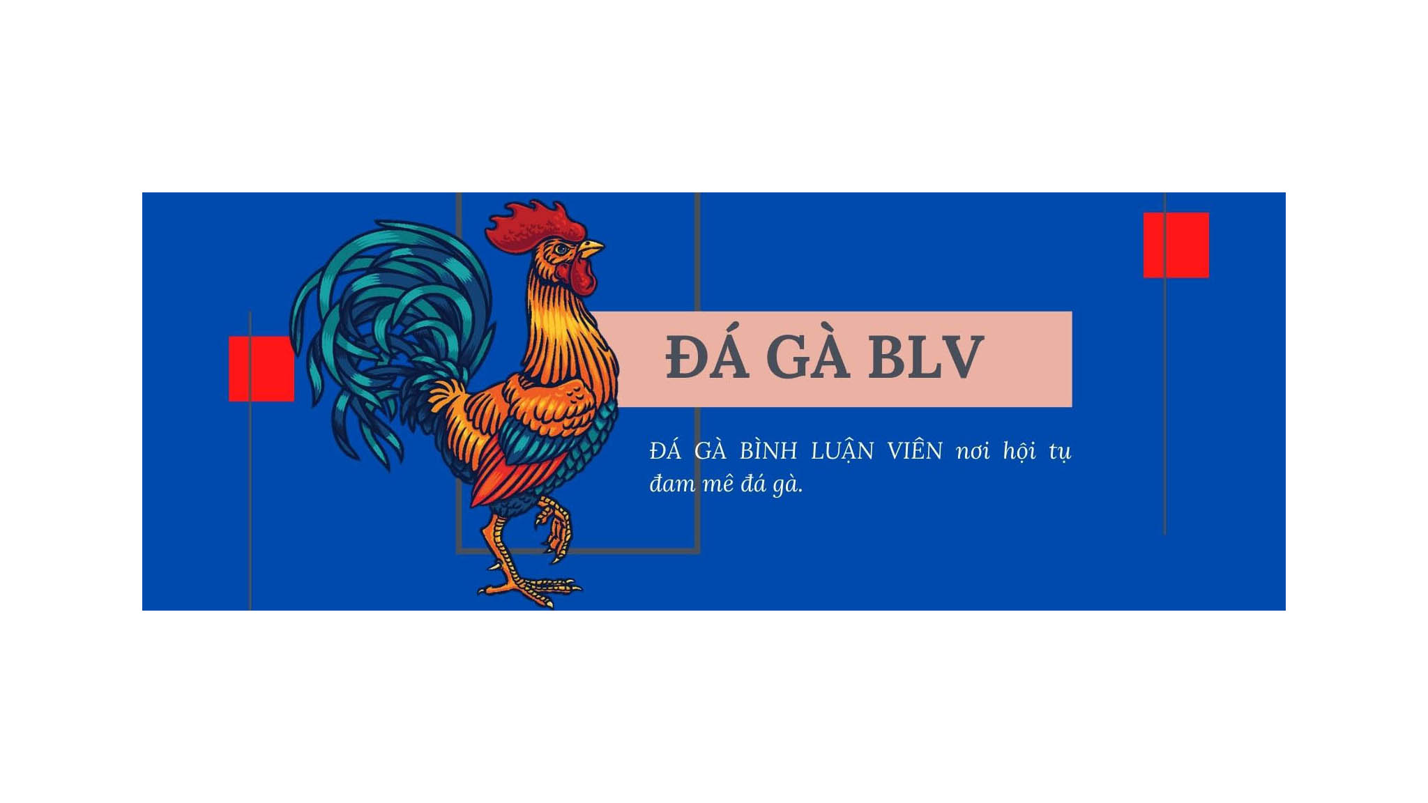 Đá Gà BLV