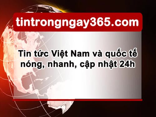  tintrongngay365