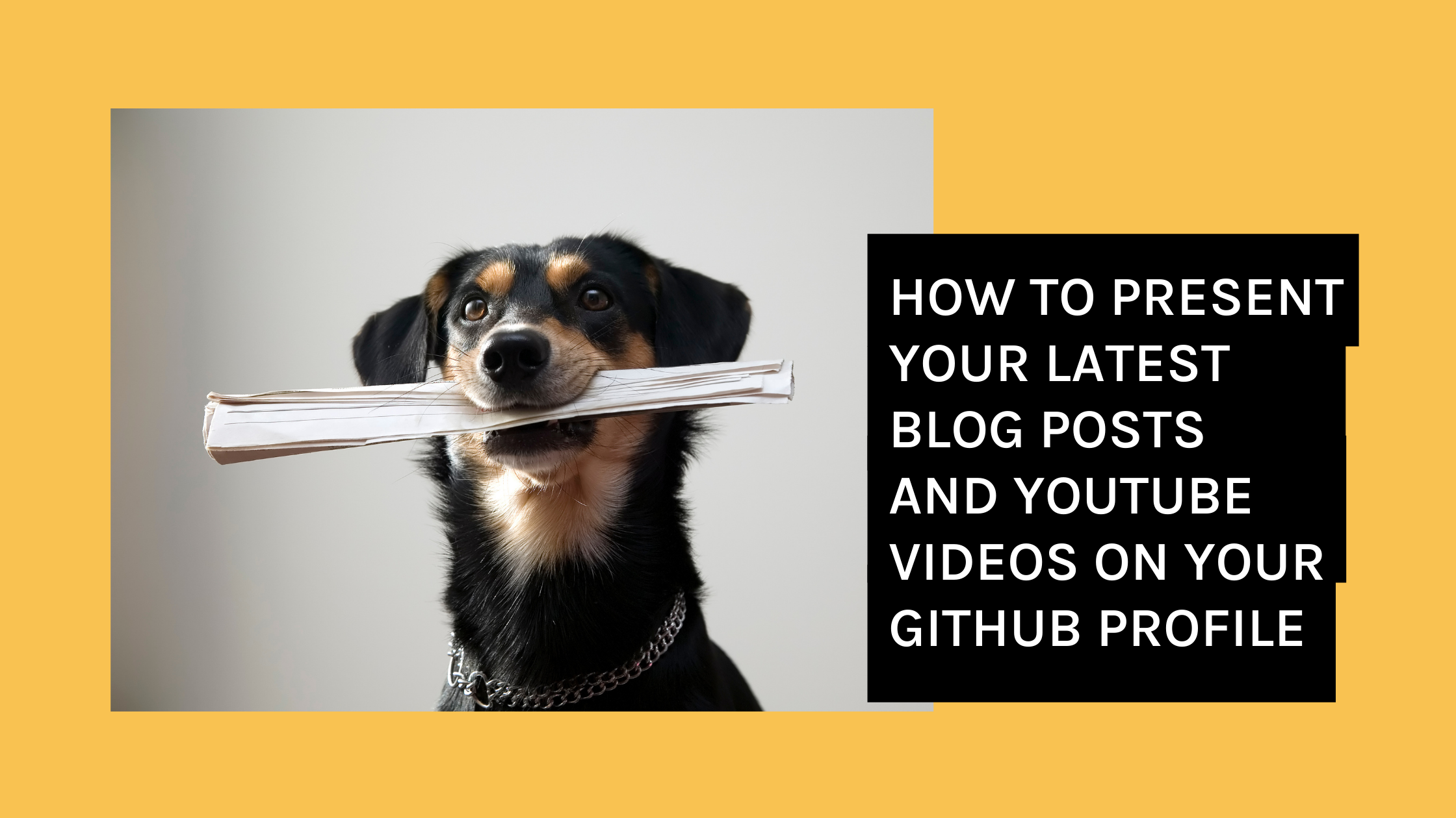 How to present your latest blog posts and YouTube videos on your GitHub profile