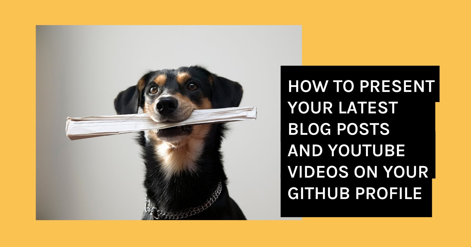 How to present your latest blog posts and YouTube videos on your GitHub profile