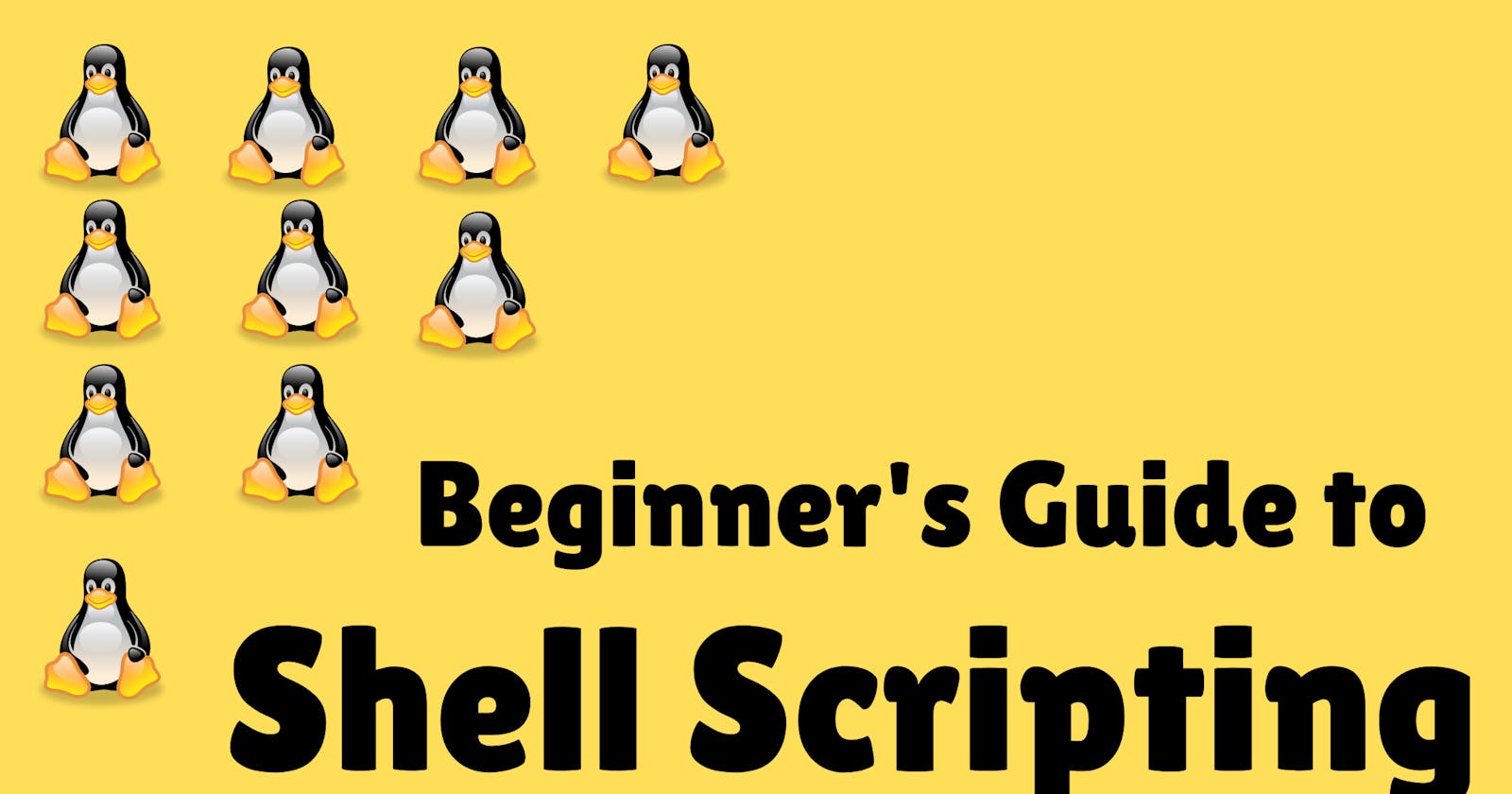 Beginners Guide to Shell Scripting