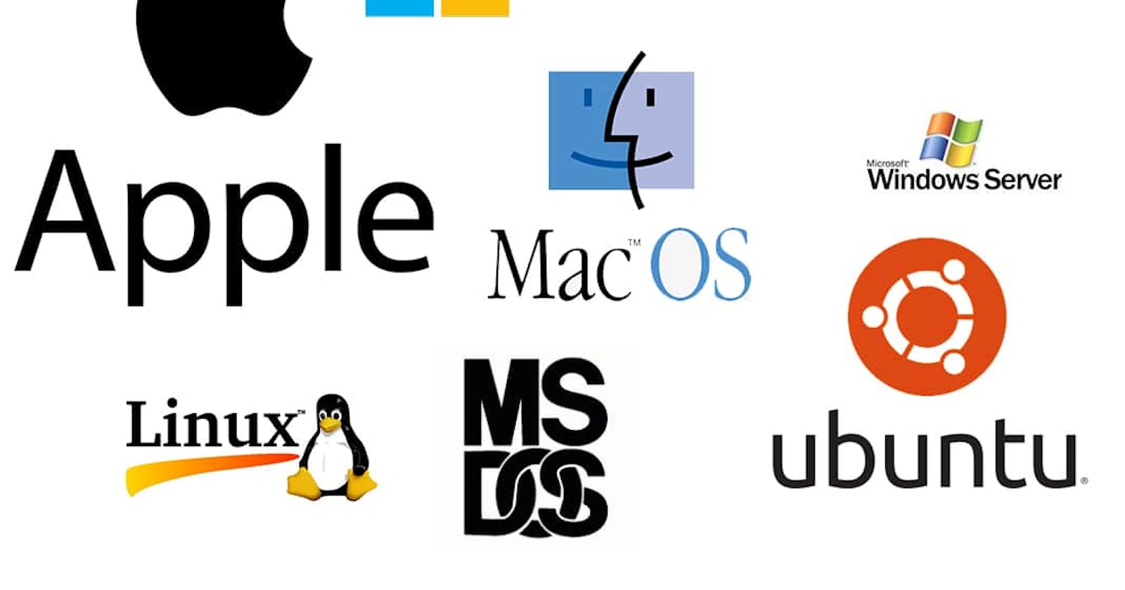 THE OPERATING SYSTEM