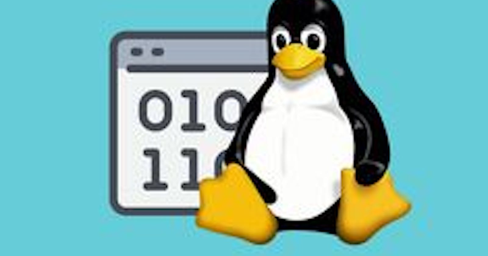 Managing Users, Groups and Permissions in Linux
