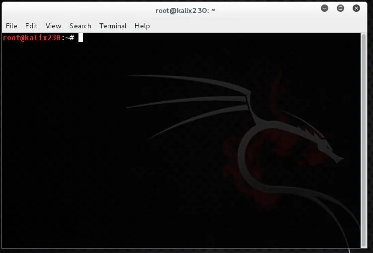 001-Kali-Linux-terminal-server.webp