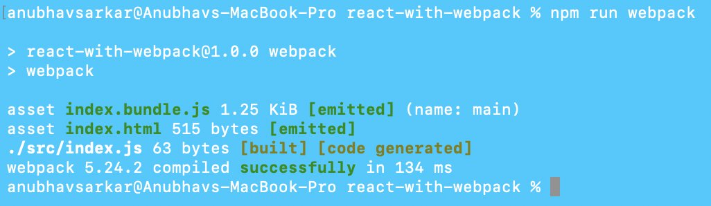 npm run webpack
