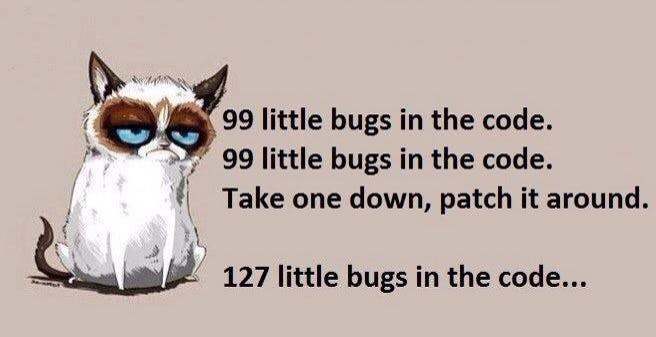 bugs-in-the-code.jpg