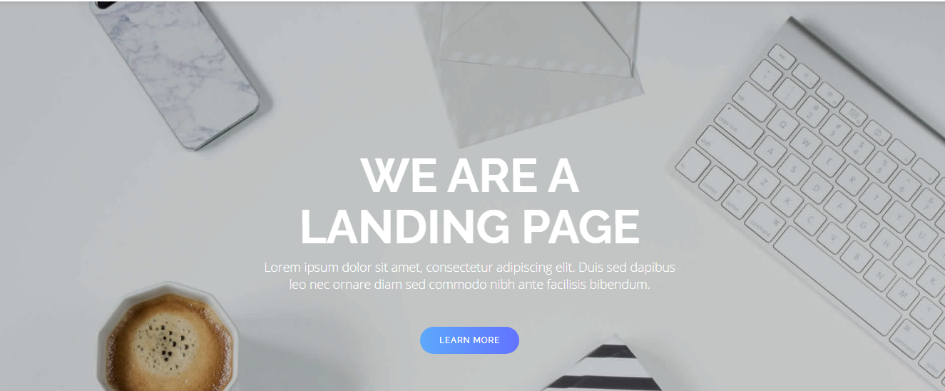 React JS Landing