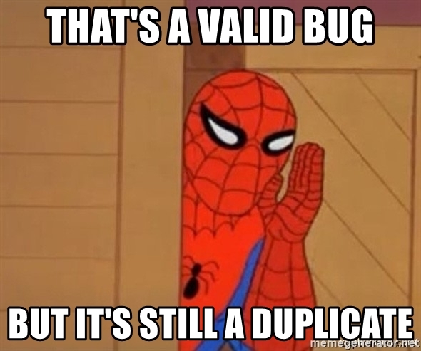 thats-a-valid-bug-but-its-still-a-duplicate.jpg ><