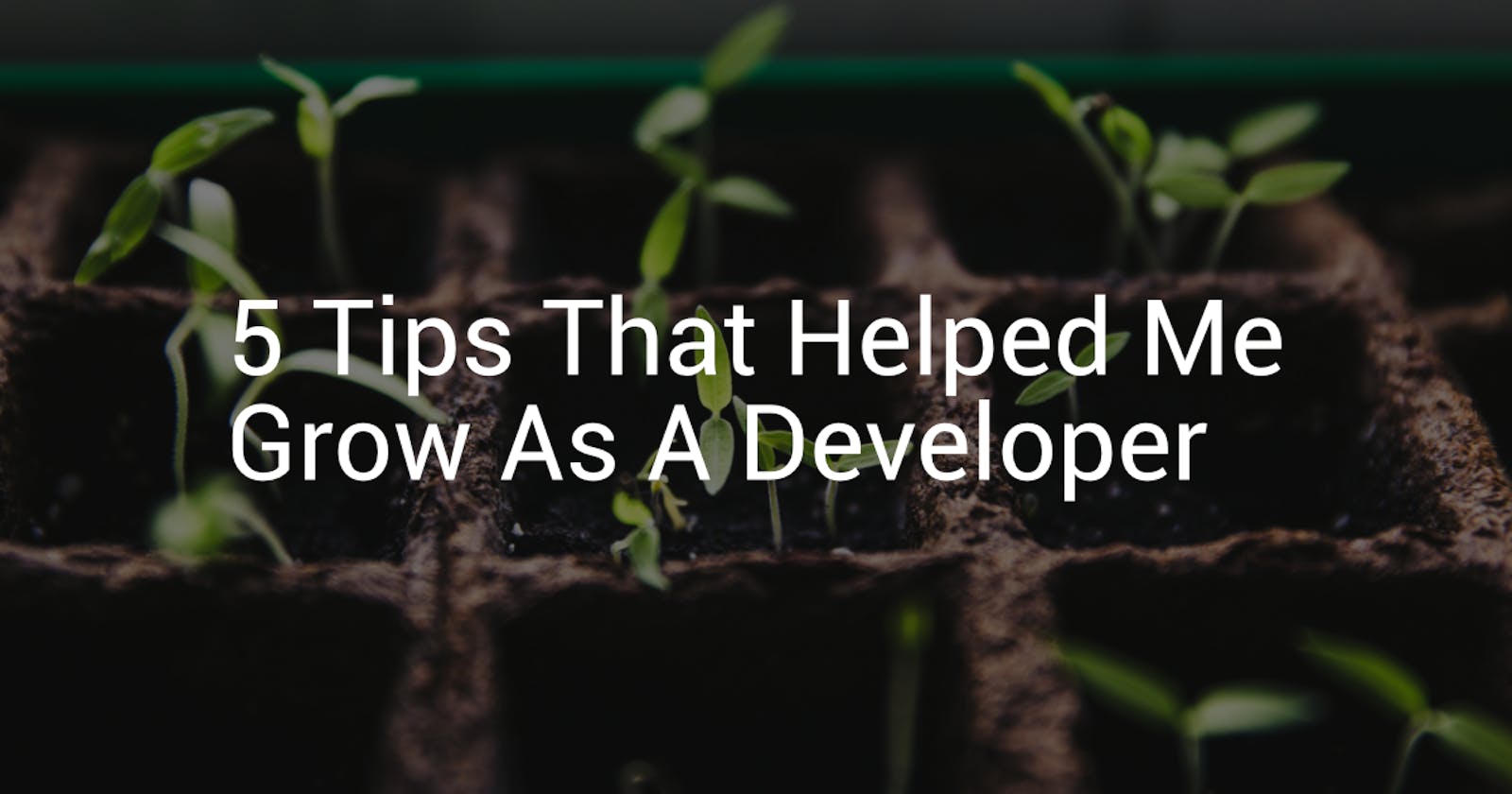 5 Tips That Helped Me Grow As A Developer
