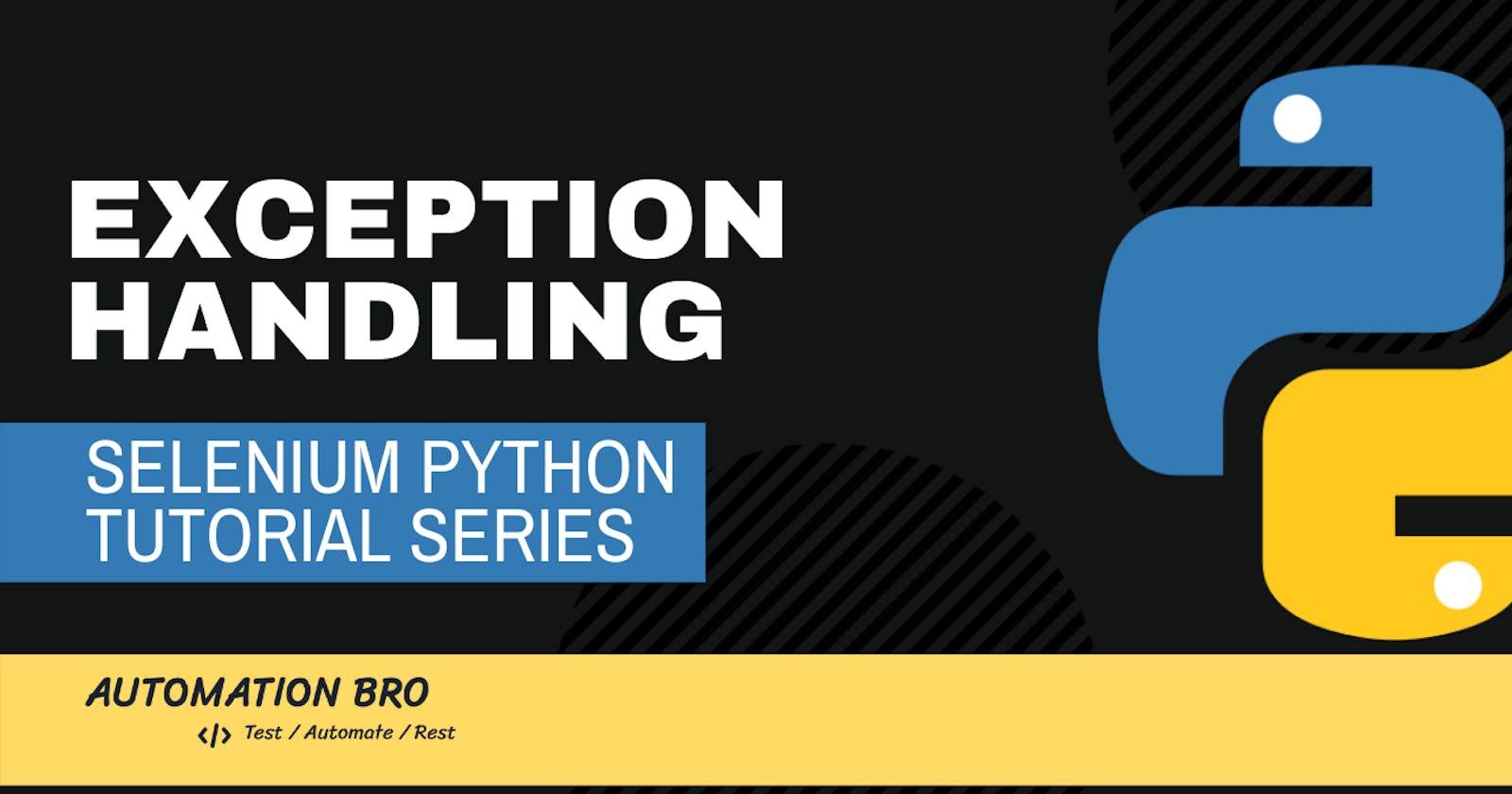 Selenium Python Exception Handling