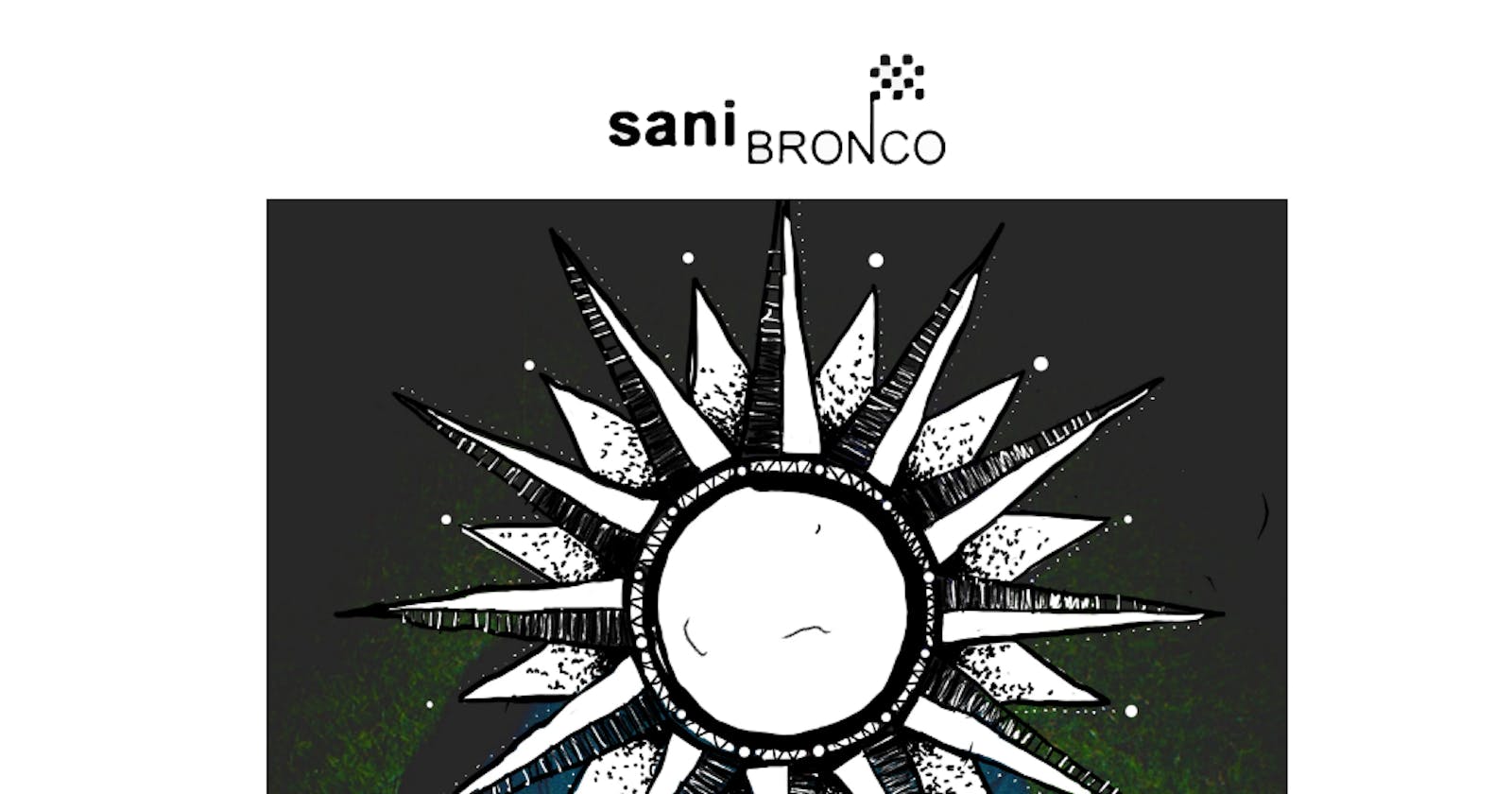 Sani Bronco Web Store Write Up
