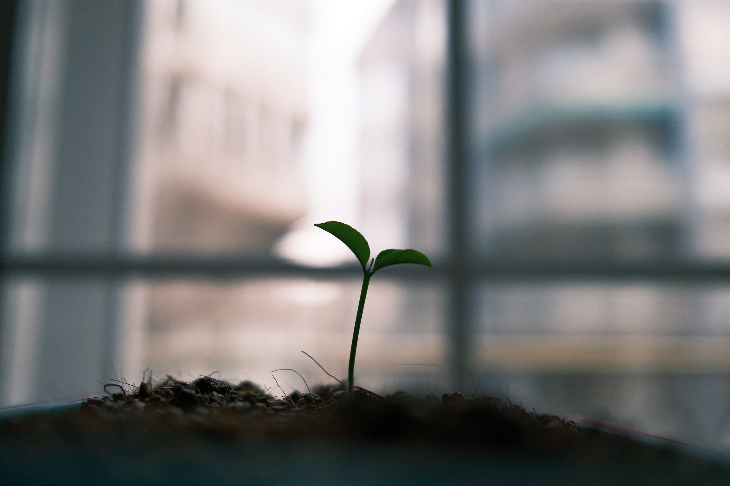 Orator ORM 的 Seeding 機制