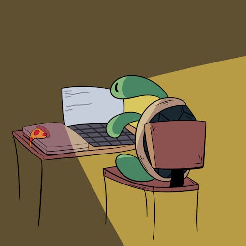 Coding Turtle's Coding