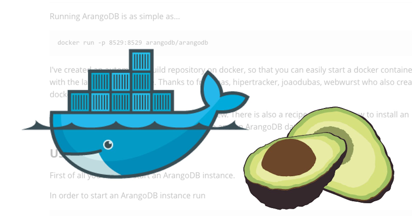 How to run Arangodb in docker container