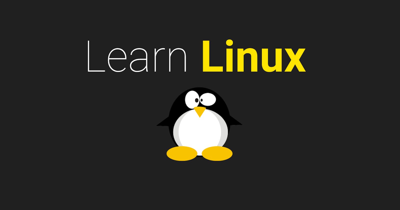 6 Linux Commands Every Beginner Should Know